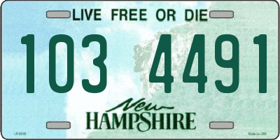NH license plate 1034491
