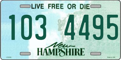 NH license plate 1034495