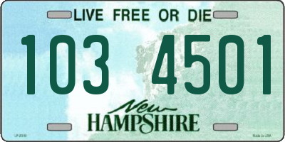 NH license plate 1034501