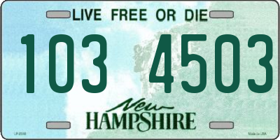 NH license plate 1034503