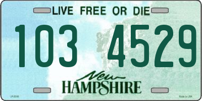 NH license plate 1034529