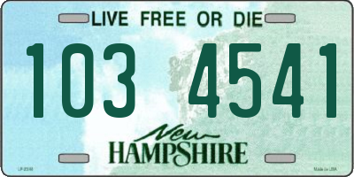 NH license plate 1034541