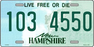 NH license plate 1034550