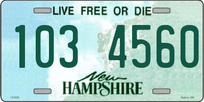 NH license plate 1034560