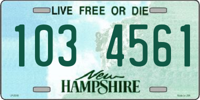 NH license plate 1034561