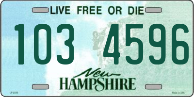 NH license plate 1034596