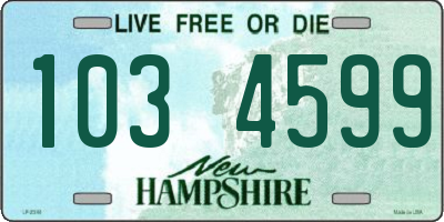 NH license plate 1034599
