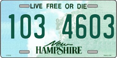 NH license plate 1034603