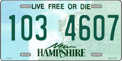 NH license plate 1034607