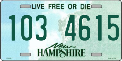 NH license plate 1034615