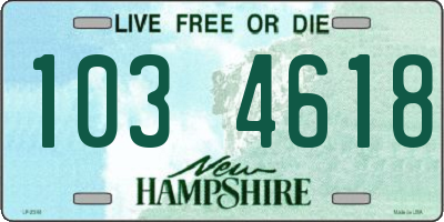 NH license plate 1034618