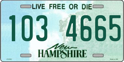 NH license plate 1034665