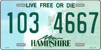 NH license plate 1034667