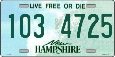 NH license plate 1034725