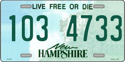 NH license plate 1034733