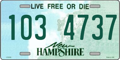 NH license plate 1034737