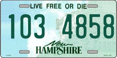 NH license plate 1034858