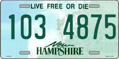 NH license plate 1034875