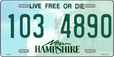 NH license plate 1034890