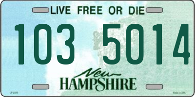 NH license plate 1035014