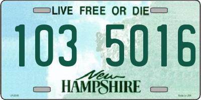 NH license plate 1035016
