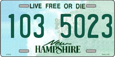 NH license plate 1035023