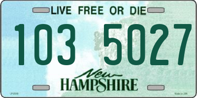 NH license plate 1035027