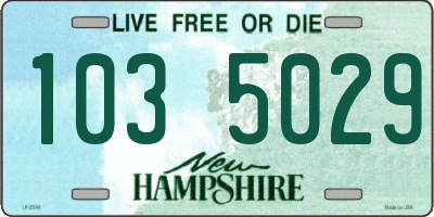 NH license plate 1035029