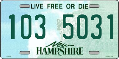 NH license plate 1035031