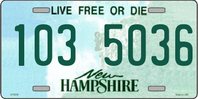 NH license plate 1035036