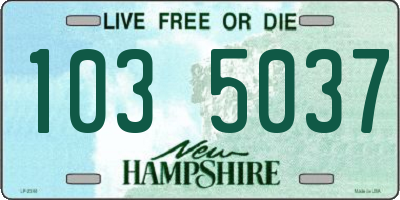 NH license plate 1035037