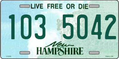 NH license plate 1035042