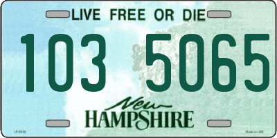 NH license plate 1035065