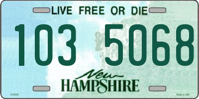 NH license plate 1035068