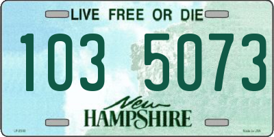 NH license plate 1035073