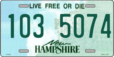NH license plate 1035074