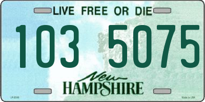 NH license plate 1035075
