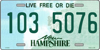 NH license plate 1035076