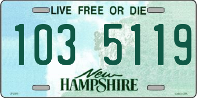 NH license plate 1035119