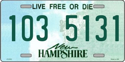 NH license plate 1035131