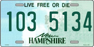 NH license plate 1035134