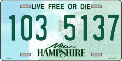 NH license plate 1035137