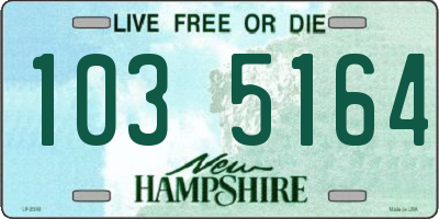 NH license plate 1035164