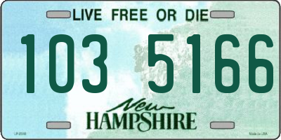 NH license plate 1035166