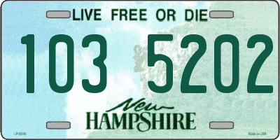 NH license plate 1035202