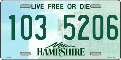 NH license plate 1035206
