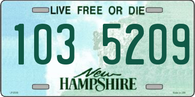 NH license plate 1035209