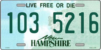 NH license plate 1035216