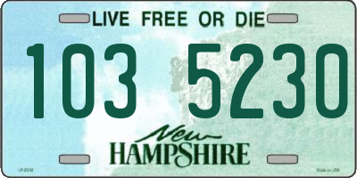 NH license plate 1035230