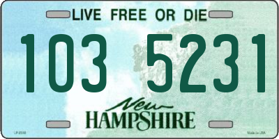 NH license plate 1035231
